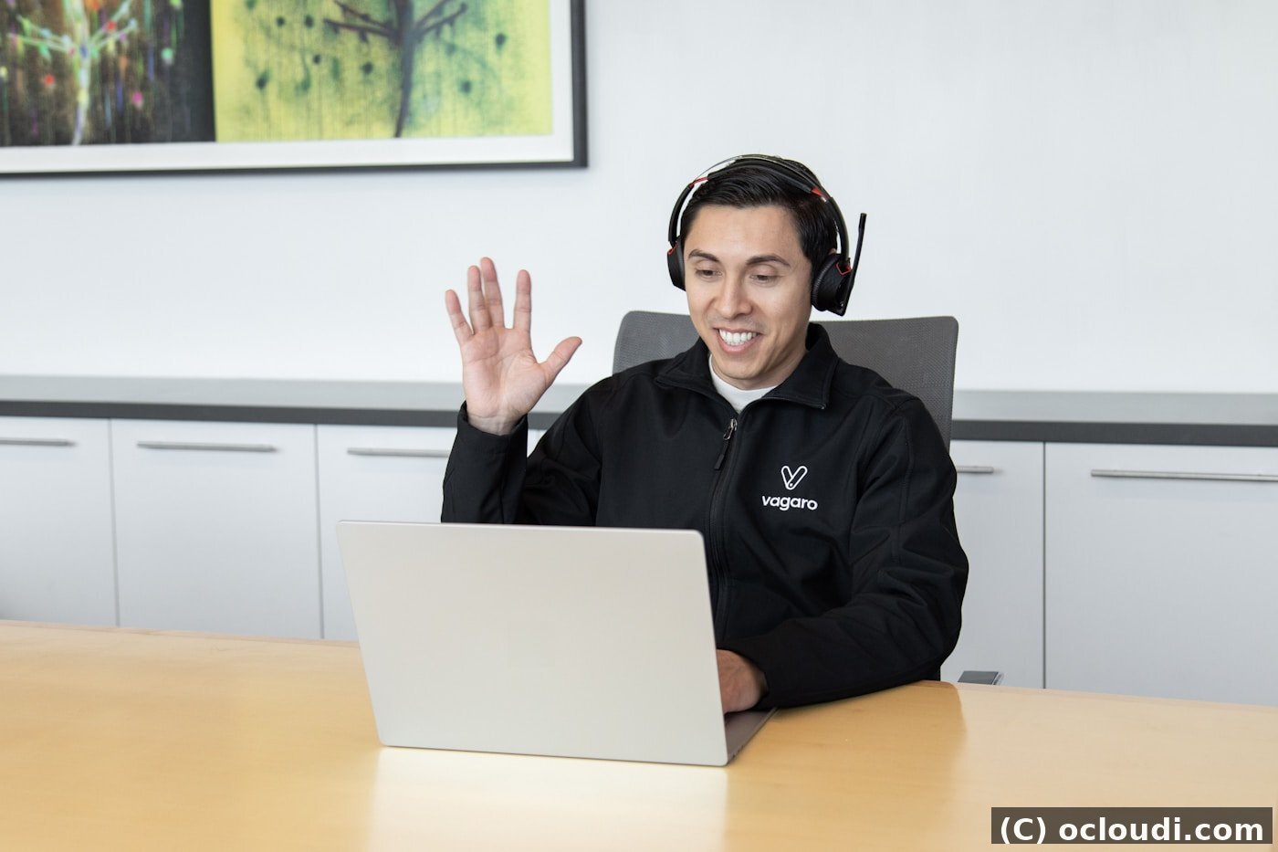 Hosting support team helping with cPanel account management
